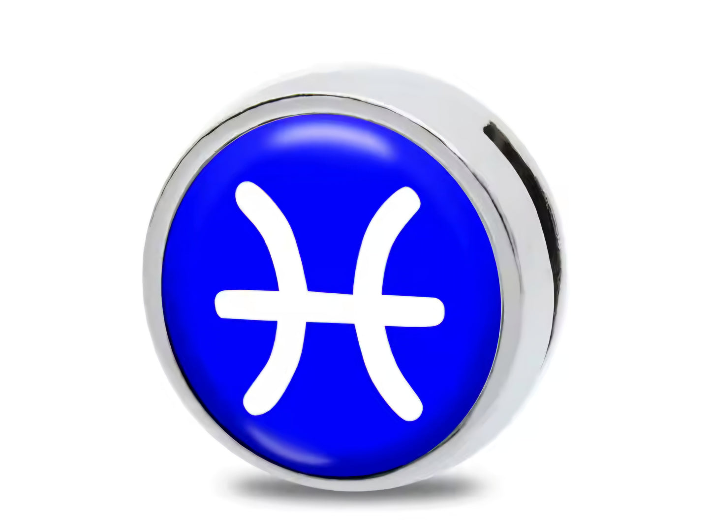Slide Charm Bar - Zodiac Slide Charms (Silver)